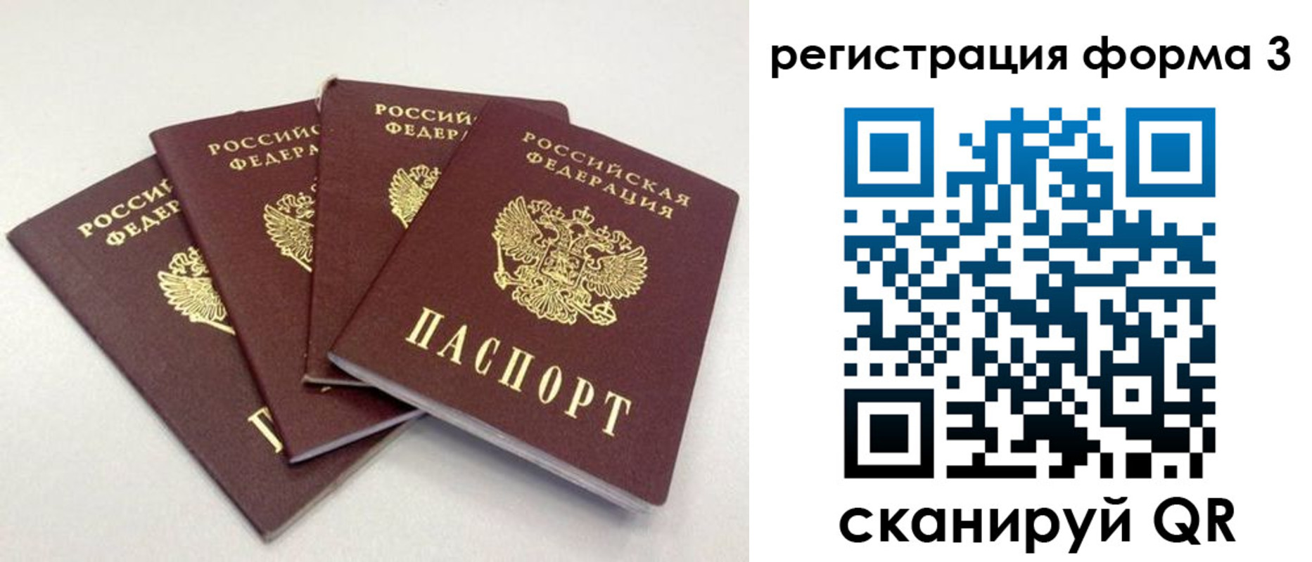 прописка 2025 в Ельне