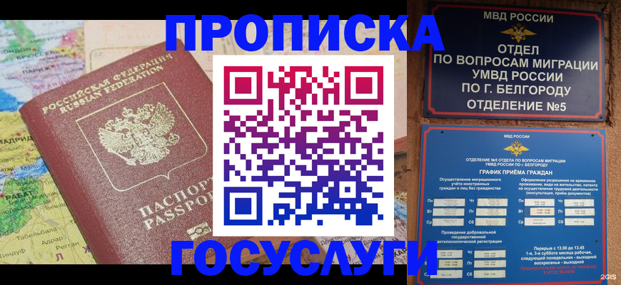 прописка регистрация в Ельне